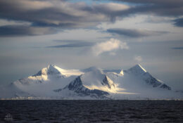 Spitsbergen_2025 (37/78)